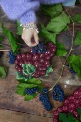 Byon Чиния за сервиране Byon Grape (5228625407)