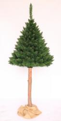 KORLEAND Műfenyő FÁS SZÁRRAL - 220 cm