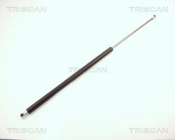 TRISCAN Amortizor portbagaj TRISCAN 8710 10203 (8710 10203) - automobilus