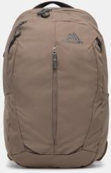 Gregory rucsac Retna 25L 99KK-PKU0JN_98X (RETNA.25)