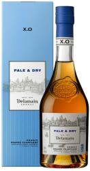 Delamain Pale and Dry XO cognac (0, 2L / 42%) - goodspirit