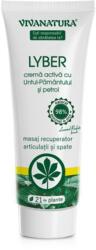 Viva Natura Crema activa cu untul-pamantului si petrol Lyber, 250ml, VivaNatura
