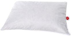 Cottonbox® Perna 100% naturala pana gasca 50x70cm, Cotton Box, alba
