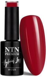 NTN Premium UV/LED Géllakk 115# (HEMA Free)