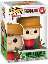 Funko POP! Television #1627 Peanuts Charlie Brown with Tree