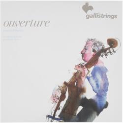 Galli OV81-S Overture Bass SYC 3/4