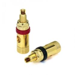 Dynavox Terminale Boxe Dynavox Pro V (207618)