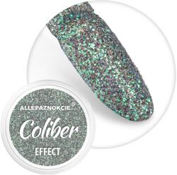 Everin Sclipici fin cu efect holographic- Coliber Effect 09 - CE-09 - Everin. ro (CE-09)
