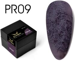 Everin Plaster Color Gel PR09 - Gel color texturat violet închis, efect beton artistic (5g) (PR09)