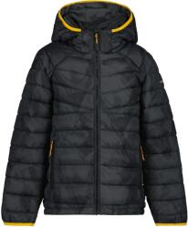 Icepeak Яке kempen jr