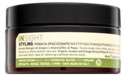 Insight Styling Mattifying Pomade pomadă de păr cu efect matifiant 90 ml