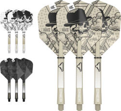Target Darts Darts toll+szár Target Dimitri Van Den Bergh INK, hosszú szárral