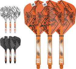 Target Darts Darts toll+szár Target Raymond van Barneveld INK, hosszú szárral (készlet erejéig)