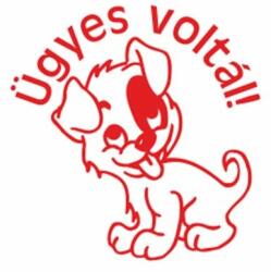 COLOP Bélyegző, motivációs, Ügyes voltál! , COLOP N43-kék, piros - oneclick