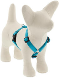 Lupine Pet Roman hám (Világoskék/Aqua 1, 25 cm széles 31-50 cm) (SSD15092)
