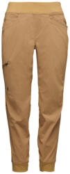 Black Diamond W TECHNICIAN JOGGER PANTS (AP7501652021SML1)