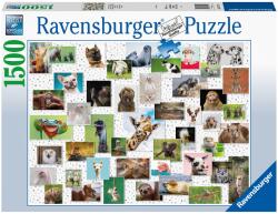 Ravensburger Colaj cu animale 1500 (RVSPA16711) Puzzle