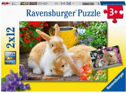 Ravensburger Porcusor de guinea si iepuras 2x12 (RVSPC05144) Puzzle