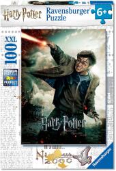 Ravensburger Harry Potter 100 (RVSPC12869) Puzzle