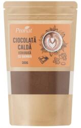 Pronat Paper Pack Ciocolata Calda Bio cu Ghimbir 300 g, Pronat