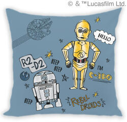 Disney Párna huzat 40x40 - Star Wars - C3PO és R2D2