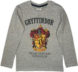 EPlus Fiú hosszú ujjú póló - Harry Potter Griffendél szürke Méret - gyermek: 134