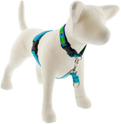 Lupine Pet NO PULL (Világoskék/Aqua 2, 5 cm széles 60-96 cm) (LSD15098)