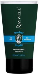 Raywell Barber All Days Haj Sampon 100 ml
