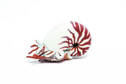 Papo Figurina Nautilus (Papo56061) - ejuniorul Figurina