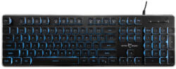 White Shark TACHI (GK-003141B-US)
