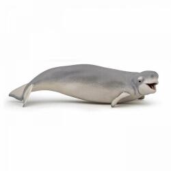 Papo Figurina Balena Beluga (Papo56012) - ookee Figurina