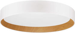 Nova Luce Stake fehér LED mennyezeti lámpa (NL-9345528) LED 1 izzós IP20 (NL-9345528)