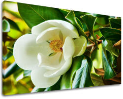  Falfestmény FLOWERS KV003E11