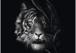 Schmidt Spiele 58541 - Tiger, Ashley Rader - 1000 db-os puzzle (58541)