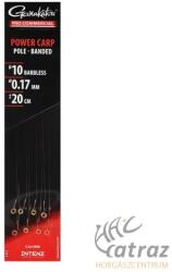 Gamakatsu Pro Commercial Power Carp Eyed Ready Rig - Előkötött Horog 10-es Méretű Horoggal Csaligyűrűvel (185245-1020-17)