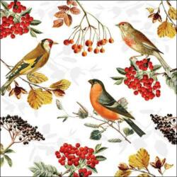Ambiente Autumn birds papírszalvéta 33x33cm, 20db-os