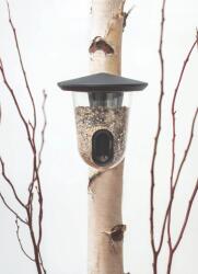 SingingFriend FEEDR műanyag madáretető, vad zöld (F006) (38831)