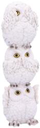 Nemesis Now Statuetă Nemesis Now Adult: Humor - Wisest Totem, 20 cm (U4771P9) Figurina