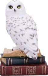 Nemesis Now Statuetă Nemesis Now Adult: Gothic - Library of Wisdom, 17 cm (D6818B24) Figurina