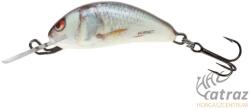 Salmo Floating Hornet H3F RD - Real Dace Salmo Wobbler
