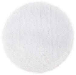 Evotools Disc Polisat (679050)