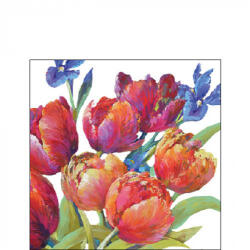 Ambiente Tulips of joy papírszalvéta 25x25cm, 20db-os (12519310)