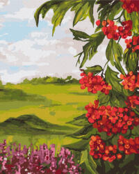  Nyári természet - Számfestő készlet kereten 40x50