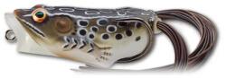 Live Target Broasca LIVETARGET Hollow Frog Popper, 6.5cm, 14g, Brown/Black (LT.FHP65T503)