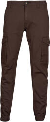 JACK & JONES Pantaloni Cargo Bărbați JPSTPAUL JJFLAKE AKM Jack & Jones Maro US 29 / 32