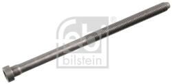 Febi Bilstein hengerfejcsavar FEBI BILSTEIN 103647