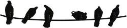 Covo Cuier Birds On Wire (HA01 BK) Agatator cuier