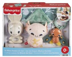Mattel Set 4 jucarii Fisher Price So many senses Figurina