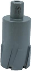 CRIANO Carota pt. otel din carbura de tungsten, ⌀ 45mm, h=50mm, cu prindere Weldon - DXDY. P-TCT-50.45. W (DXDY.P-TCT-50.45.W)