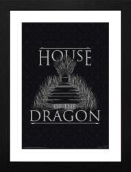 GB eye Afiș înrămat GB eye Television: House of the Dragon - Iron Throne (GBYDCO181)